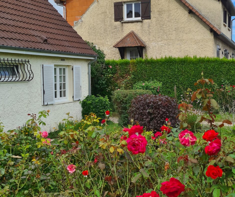 Terrassement — avant travaux